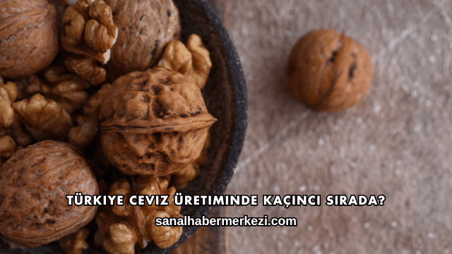 Türkiye Ceviz Üretiminde Kaçıncı Sırada?