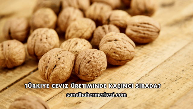 Türkiye Ceviz Üretiminde Kaçıncı Sırada?